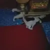 userma701plo1z