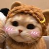 t.dung_2609