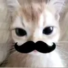 ng_cti212