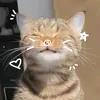 straystraykids6