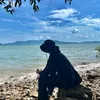 lixvasquez12