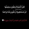 user8111077281121