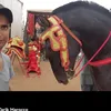 tarikmarocco775
