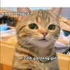 pecelele_17