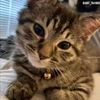 pyleof_ellie