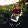 nadeemsohail755