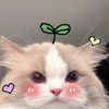 its_taurusgirl7