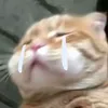 nhinconcacmay.cl