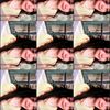 winda1_2_3_4