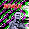 javivalley78