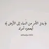 houdaalkalede