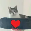 ulrike.schneider0