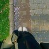 yousramedjahed1