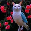 majidi12345