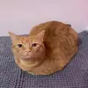 garfieldfan23