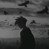 yodi_0799