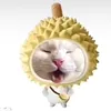 minhktylon