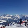 franelo946