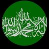user293512853