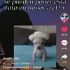 mateoledesma1122