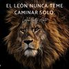 wilytorres7