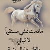 user4720611113046