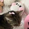 m_kittyy0