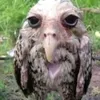 idkjustgothere2