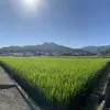 niceplace4u