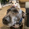 steven_richard2a