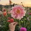 phong.123_