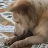 trduongg__