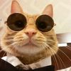 yohan_bs_