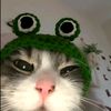 muhammadrifai_222