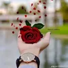 user3952657142195