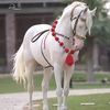 abdulrehman67836
