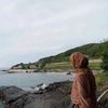 idaa_1212
