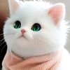 justagirl23450