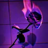 dark.warr