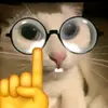 hamzayrj