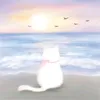 jxste_nono0