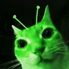 Remii