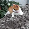 tobby_821