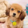 user4itsmayuyb