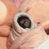 larajean9690