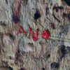 ano_1018