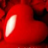 user9854095251387