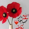 tayebsrwst3