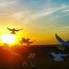 mztn_1973
