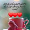 user9221637451208